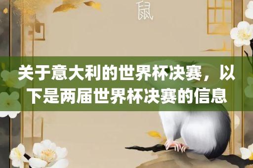 关于意大利的世界杯决赛，以下是两届世界杯决赛的信息