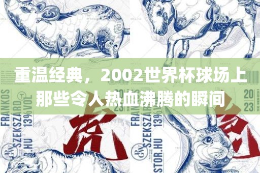 重温经典，2002世界杯球场上那些令人热血沸腾的瞬间