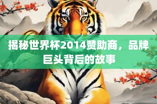 揭秘世界杯2014赞助商，品牌巨头背后的故事