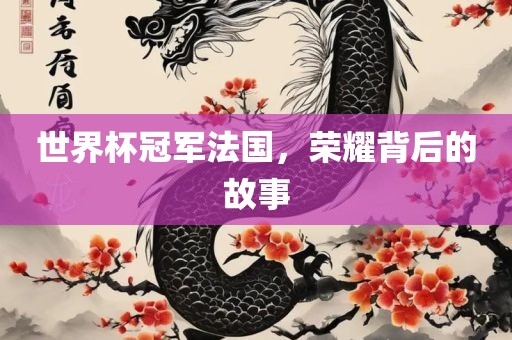 世界杯冠军法国，荣耀背后的故事