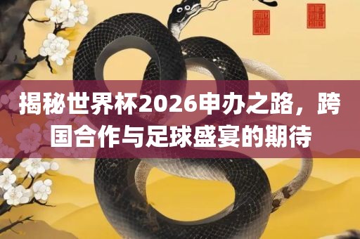 揭秘世界杯2026申办之路，跨国合作与足球盛宴的期待