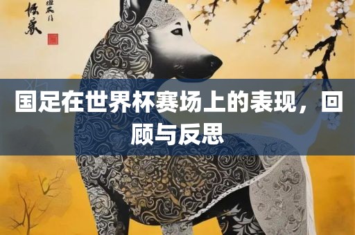 国足在世界杯赛场上的表现，回顾与反思