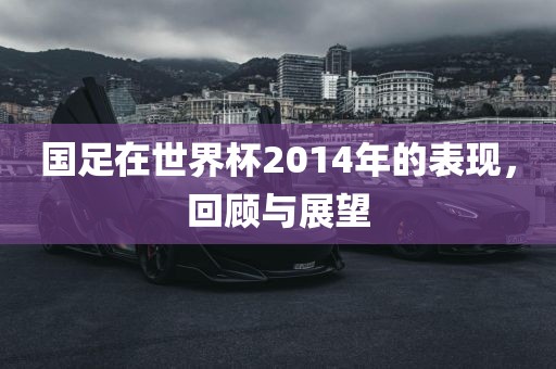 国足在世界杯2014年的表现，回顾与展望