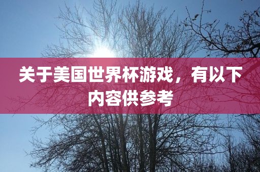 关于美国世界杯游戏，有以下内容供参考