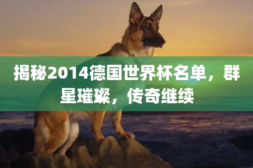 揭秘2014德国世界杯名单，群星璀璨，传奇继续