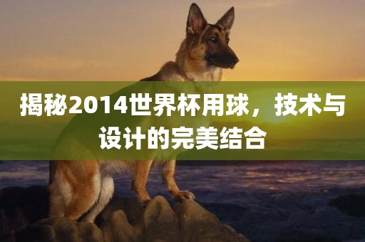 揭秘2014世界杯用球，技术与设计的完美结合金炬实业股份有限公司