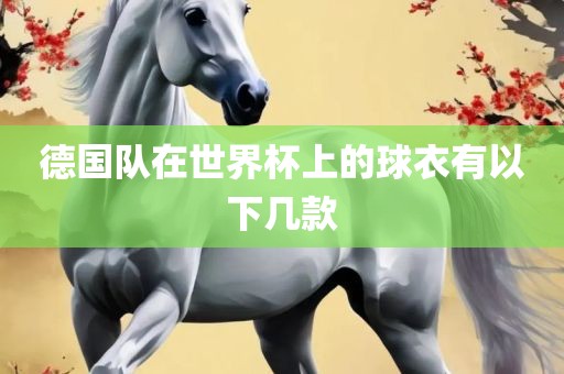 德国队在世界杯上的球衣有以下几款