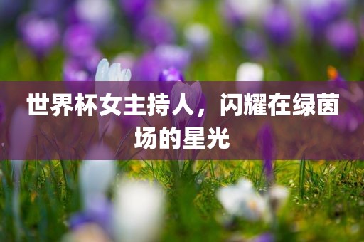 世界杯女主持人，闪耀在绿茵场的星光