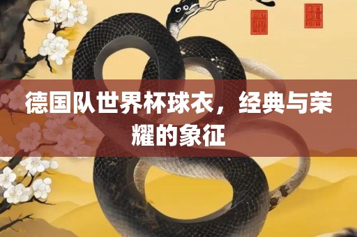 德国队世界杯球衣，经典与荣耀的象征