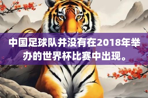 中国足球队并没有在2018年举办的世界杯比赛中出现。