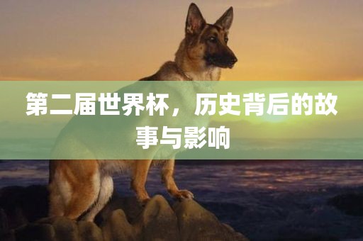 第二届世界杯，历史背后的故事与影响