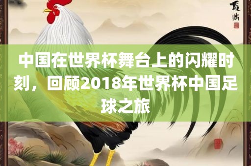 中国在世界杯舞台上的闪耀时刻，回顾2018年世界杯中国足球之旅
