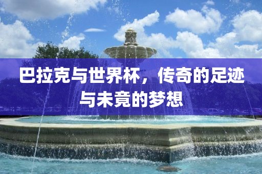 巴拉克与世界杯，传奇的足迹与未竟的梦想