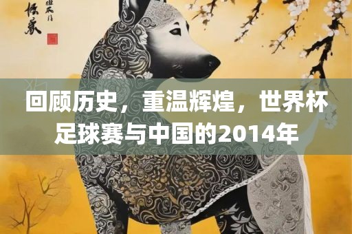 回顾历史，重温辉煌，世界杯足球赛与中国的2014年