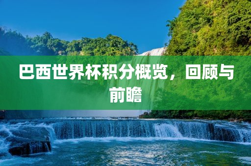 巴西世界杯积分概览，回顾与前瞻