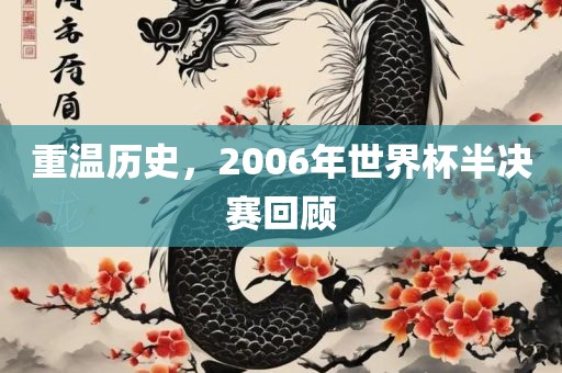 重温历史，2006年世界杯半决赛回顾