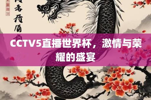 CCTV5直播世界杯，激情与荣耀的盛宴