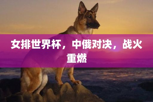 女排世界杯，中俄对决，战火重燃