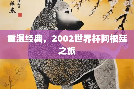 重温经典，2002世界杯阿根廷之旅