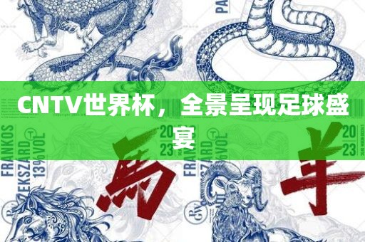CNTV世界杯，全景呈现足球盛宴