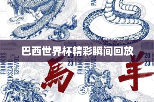 巴西世界杯精彩瞬间回放