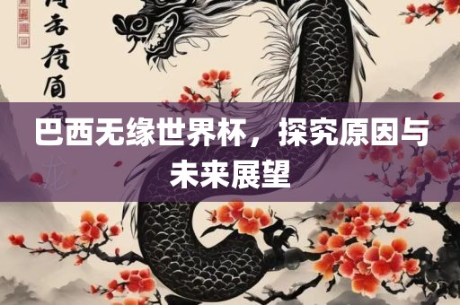 巴西无缘世界杯，探究原因与未来展望