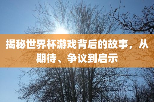 揭秘世界杯游戏背后的故事，从期待、争议到启示