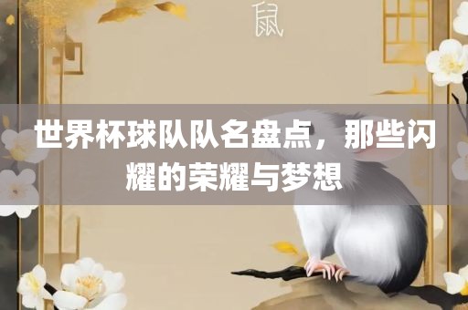 世界杯球队队名盘点，那些闪耀的荣耀与梦想