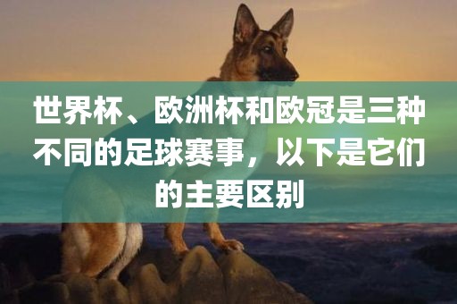 世界杯、欧洲杯和欧冠是三种不同的足球赛事，以下是它们的主要区别