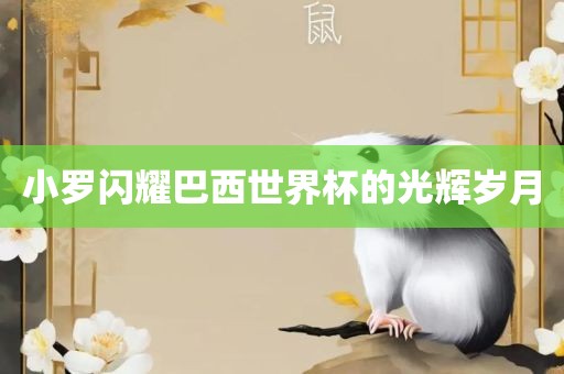 小罗闪耀巴西世界杯的光辉岁月