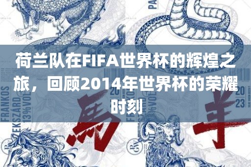荷兰队在FIFA世界杯的辉煌之旅，回顾2014年世界杯的荣耀时刻