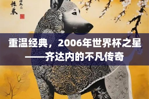 重温经典，2006年世界杯之星——齐达内的不凡传奇