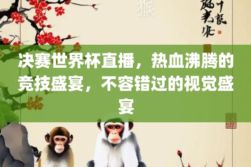 决赛世界杯直播，热血沸腾的竞技盛宴，不容错过的视觉盛宴