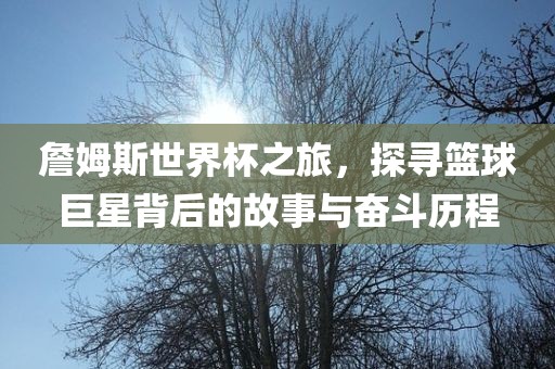 詹姆斯世界杯之旅，探寻篮球巨星背后的故事与奋斗历程