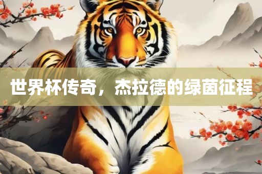 世界杯传奇，杰拉德的绿茵征程