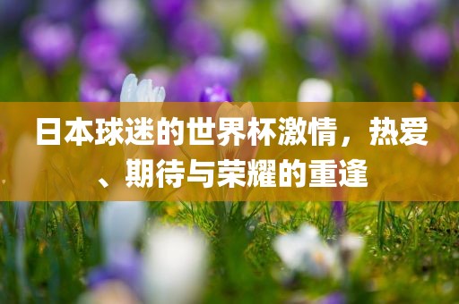 日本球迷的世界杯激情，热爱、期待与荣耀的重逢