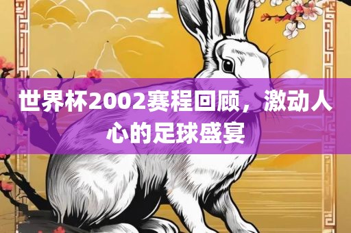 世界杯2002赛程回顾，激动人心的足球盛宴