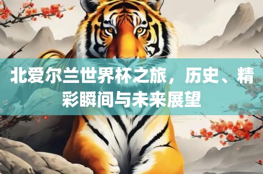 北爱尔兰世界杯之旅，历史、精彩瞬间与未来展望