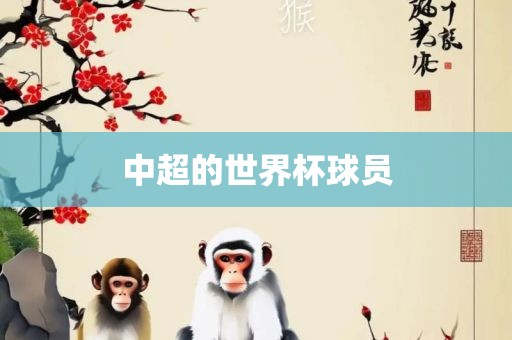 中超的世界杯球员