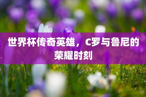 世界杯传奇英雄，C罗与鲁尼的荣耀时刻