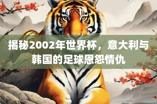 揭秘2002年世界杯，意大利与韩国的足球恩怨情仇