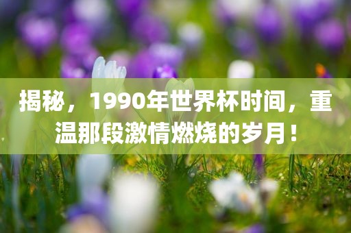 揭秘，1990年世界杯时间，重温那段激情燃烧的岁月！