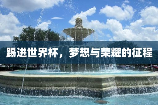 踢进世界杯，梦想与荣耀的征程