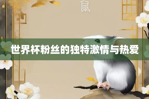 世界杯粉丝的独特激情与热爱