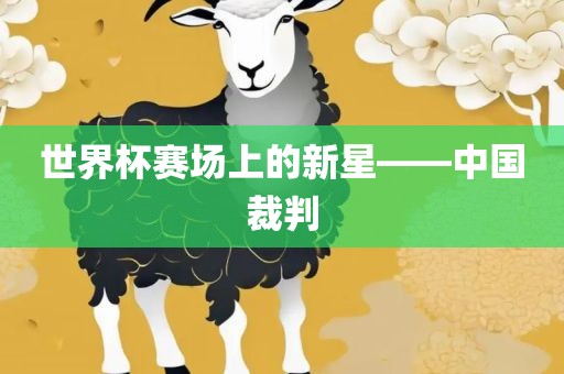 世界杯赛场上的新星——中国裁判