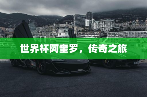 世界杯阿奎罗，传奇之旅