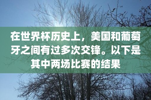 在世界杯历史上，美国和葡萄牙之间有过多次交锋。以下是其中两场比赛的结果
