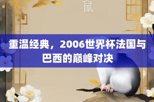 重温经典，2006世界杯法国与巴西的巅峰对决