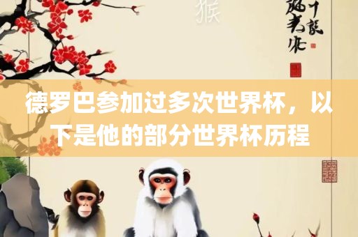 德罗巴参加过多次世界杯，以下是他的部分世界杯历程