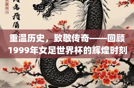 重温历史，致敬传奇——回顾1999年女足世界杯的辉煌时刻